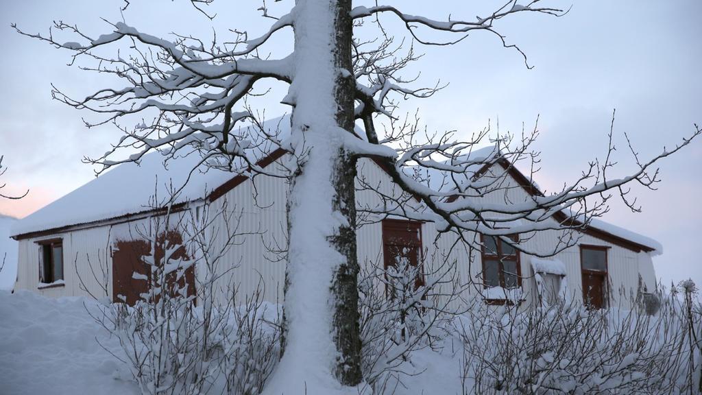Sel Guesthouse Skálholt Exterior foto
